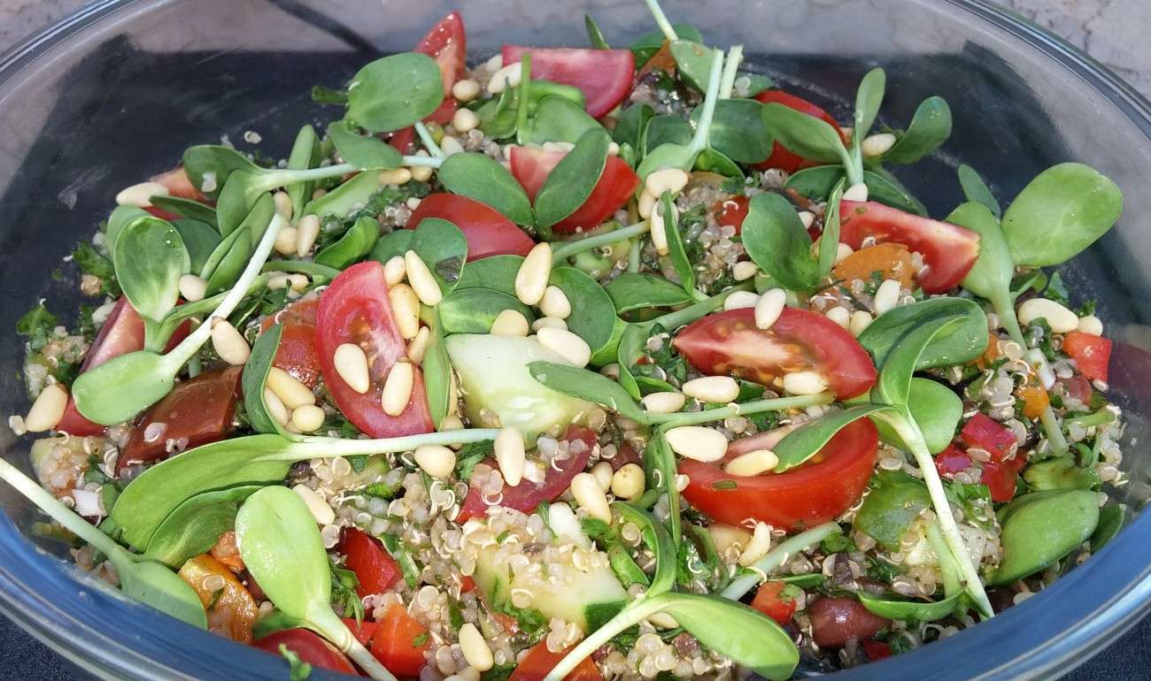 A glass bowl brims with a vibrant, plant-based salad of quinoa, cherry tomatoes, cucumber, and leafy greens. Expertly garnished with sunflower shoots and a sprinkle of pine nuts, this vegetarian dish exemplifies a dietitians delight.