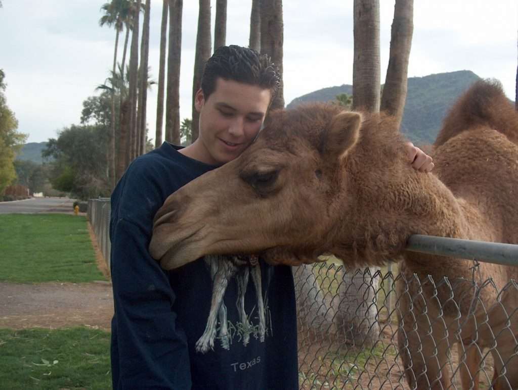 A person in a dark sweatshirt, possibly a dietitian, affectionately embraces a camel over a chain-link fence. Palm trees and a mountain provide the perfect backdrop, enhancing the serene moment in this plant-based paradise.