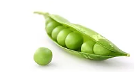 A fresh green pea pod is open, revealing several round peas inside. Perfect for a plant-based diet, one loose pea sits beside the pod on a white background, making a delightful snapshot of nature’s offerings recommended by dietitians everywhere.