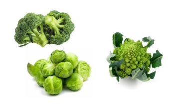 Image of three types of green vegetables: broccoli in the top left, a pile of Brussels sprouts in the bottom left, and Romanesco broccoli with a fractal pattern on the right. These vibrant, plant-based options are perfect for any vegan meal, set against a crisp white background.