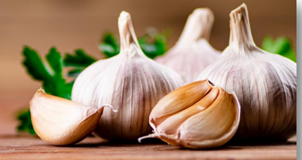 Three whole garlic bulbs and two cloves rest on a wooden surface, embodying the essence of a vegan kitchen. Fresh parsley leaves blur in the background, contributing a gentle hint of green that invites a dietitians approval.