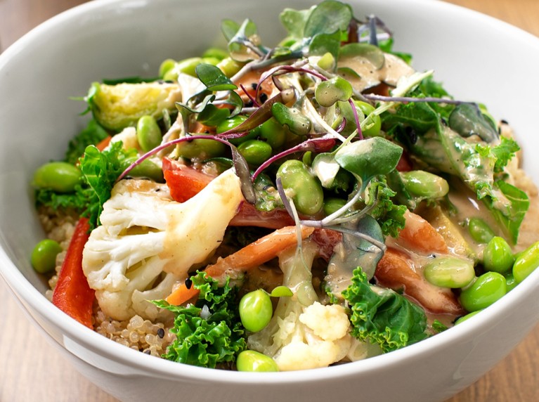 A close-up of a colorful vegetable bowl with cauliflower, kale, edamame, red bell peppers, microgreens, and quinoa, topped with a creamy dressing, served in a white bowl.